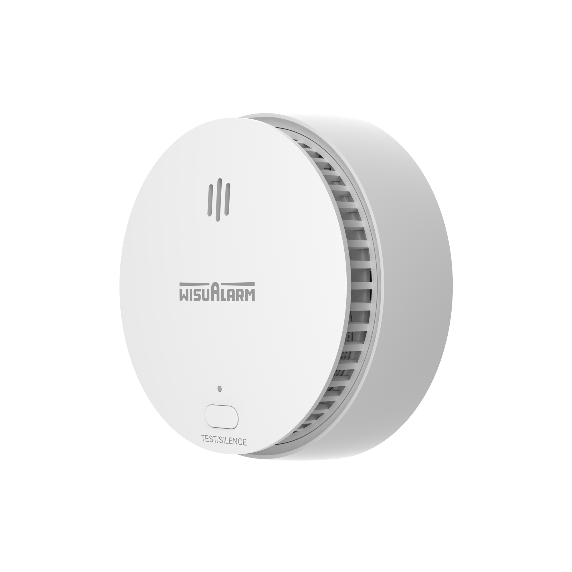 Standalone Smoke Alarm 4