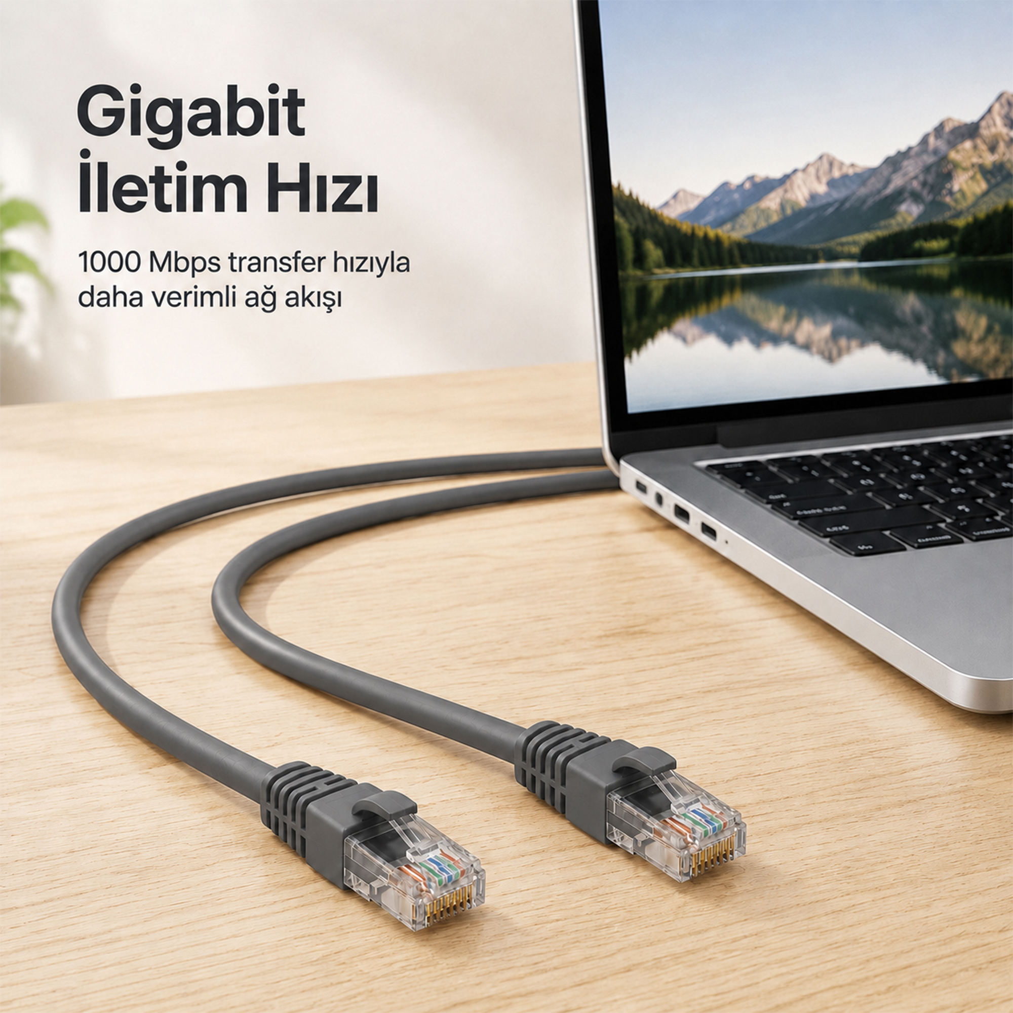 UTP CAT6 Patch Cable 5m - Gray 4